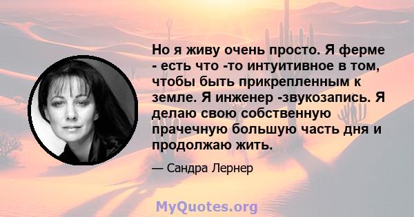 Но я живу очень просто. Я ферме - есть что -то интуитивное в том, чтобы быть прикрепленным к земле. Я инженер -звукозапись. Я делаю свою собственную прачечную большую часть дня и продолжаю жить.