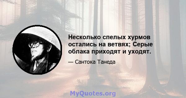 Несколько спелых хурмов остались на ветвях; Серые облака приходят и уходят.