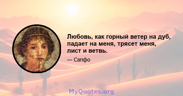 Любовь, как горный ветер на дуб, падает на меня, трясет меня, лист и ветвь.