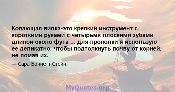 Копающая вилка-это крепкий инструмент с короткими руками с четырьмя плоскими зубами длиной около фута ... для прополки я использую ее деликатно, чтобы подтолкнуть почву от корней, не ломая их.