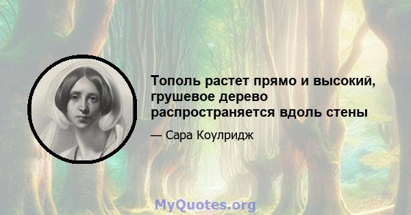 Тополь растет прямо и высокий, грушевое дерево распространяется вдоль стены