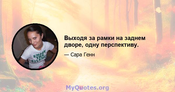 Выходя за рамки на заднем дворе, одну перспективу.