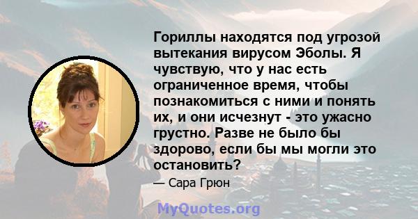 Гориллы находятся под угрозой вытекания вирусом Эболы. Я чувствую, что у нас есть ограниченное время, чтобы познакомиться с ними и понять их, и они исчезнут - это ужасно грустно. Разве не было бы здорово, если бы мы