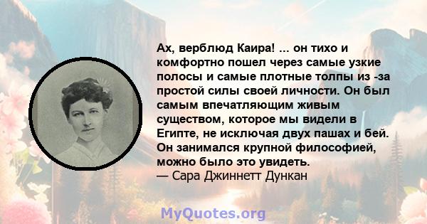 Ах, верблюд Каира! ... он тихо и комфортно пошел через самые узкие полосы и самые плотные толпы из -за простой силы своей личности. Он был самым впечатляющим живым существом, которое мы видели в Египте, не исключая двух 