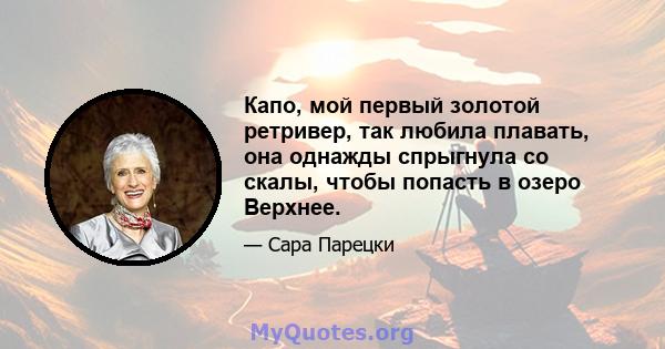 Капо, мой первый золотой ретривер, так любила плавать, она однажды спрыгнула со скалы, чтобы попасть в озеро Верхнее.