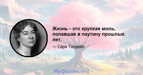 Жизнь - это хрупкая моль, попавшая в паутину прошлых лет.