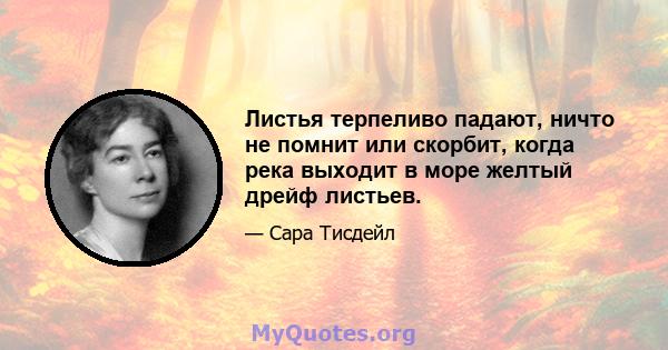 Листья терпеливо падают, ничто не помнит или скорбит, когда река выходит в море желтый дрейф листьев.