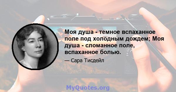 Моя душа - темное вспаханное поле под холодным дождем; Моя душа - сломанное поле, вспаханное болью.