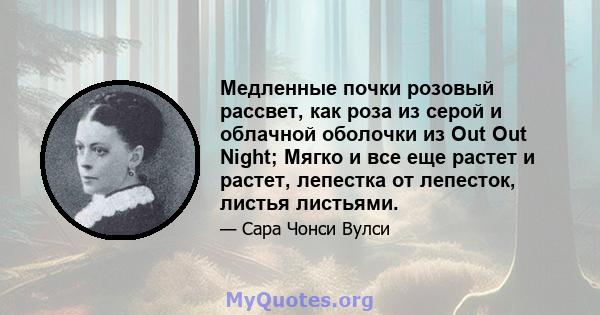 Медленные почки розовый рассвет, как роза из серой и облачной оболочки из Out Out Night; Мягко и все еще растет и растет, лепестка от лепесток, листья листьями.