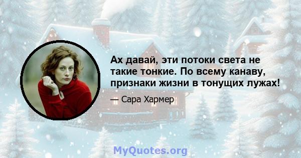 Ах давай, эти потоки света не такие тонкие. По всему канаву, признаки жизни в тонущих лужах!