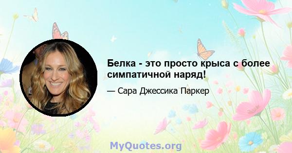 Белка - это просто крыса с более симпатичной наряд!