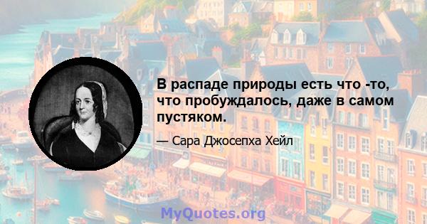 В распаде природы есть что -то, что пробуждалось, даже в самом пустяком.