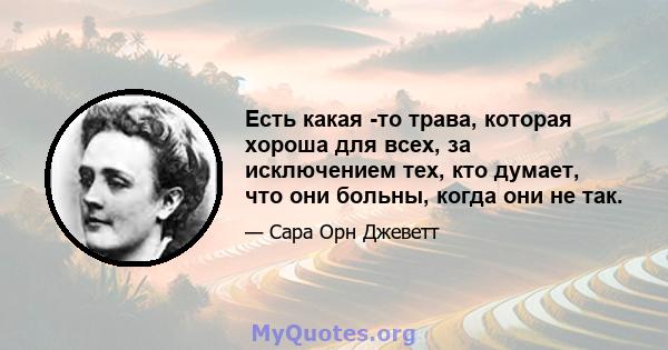 Есть какая -то трава, которая хороша для всех, за исключением тех, кто думает, что они больны, когда они не так.