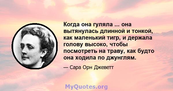 Когда она гуляла ... она вытянулась длинной и тонкой, как маленький тигр, и держала голову высоко, чтобы посмотреть на траву, как будто она ходила по джунглям.