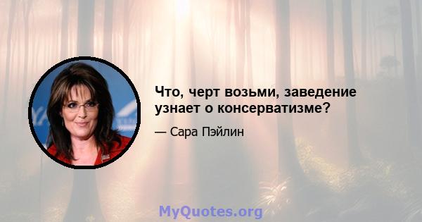 Что, черт возьми, заведение узнает о консерватизме?