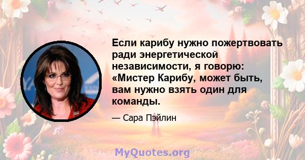 Если карибу нужно пожертвовать ради энергетической независимости, я говорю: «Мистер Карибу, может быть, вам нужно взять один для команды.