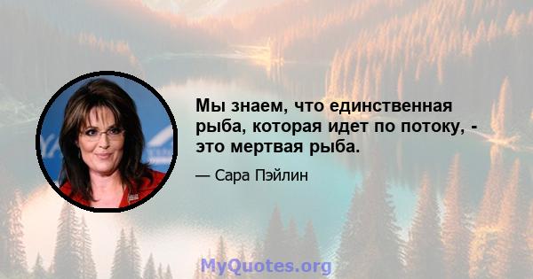 Мы знаем, что единственная рыба, которая идет по потоку, - это мертвая рыба.