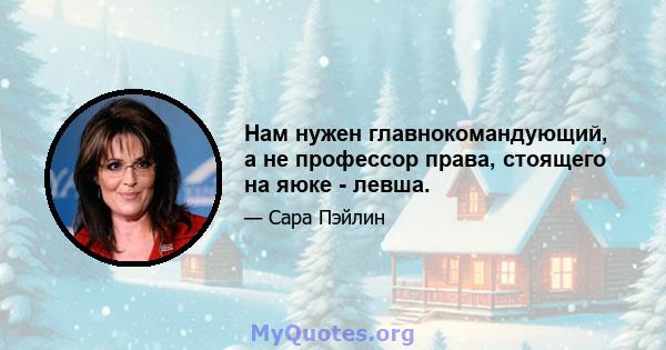 Нам нужен главнокомандующий, а не профессор права, стоящего на яюке - левша.