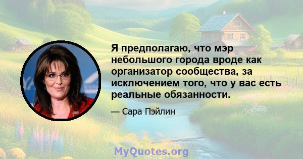 Я предполагаю, что мэр небольшого города вроде как организатор сообщества, за исключением того, что у вас есть реальные обязанности.