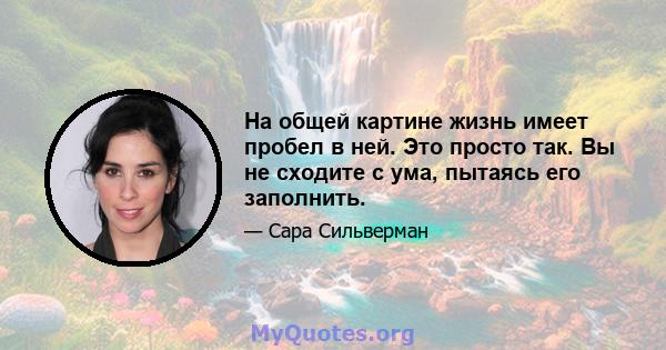 На общей картине жизнь имеет пробел в ней. Это просто так. Вы не сходите с ума, пытаясь его заполнить.