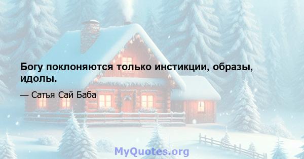 Богу поклоняются только инстикции, образы, идолы.