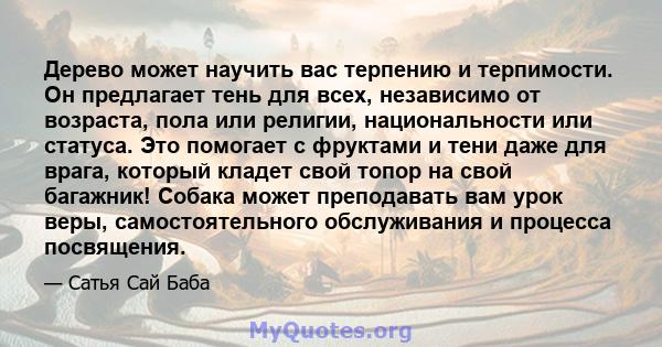 Дерево может научить вас терпению и терпимости. Он предлагает тень для всех, независимо от возраста, пола или религии, национальности или статуса. Это помогает с фруктами и тени даже для врага, который кладет свой топор 