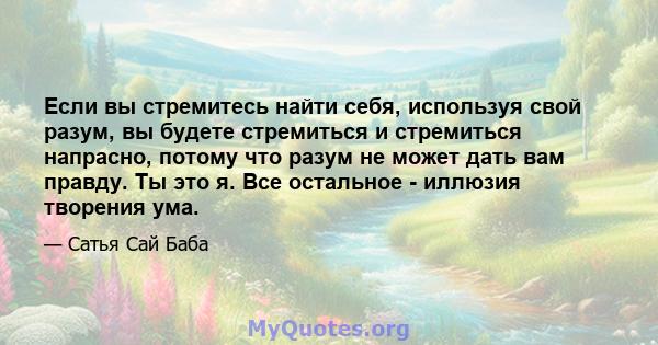 Если вы стремитесь найти себя, используя свой разум, вы будете стремиться и стремиться напрасно, потому что разум не может дать вам правду. Ты это я. Все остальное - иллюзия творения ума.