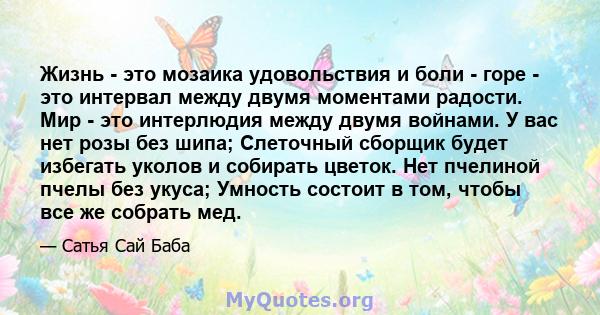 Жизнь - это мозаика удовольствия и боли - горе - это интервал между двумя моментами радости. Мир - это интерлюдия между двумя войнами. У вас нет розы без шипа; Слеточный сборщик будет избегать уколов и собирать цветок.