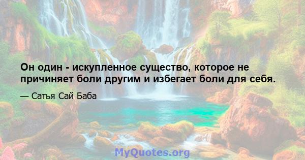 Он один - искупленное существо, которое не причиняет боли другим и избегает боли для себя.