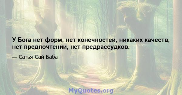 У Бога нет форм, нет конечностей, никаких качеств, нет предпочтений, нет предрассудков.