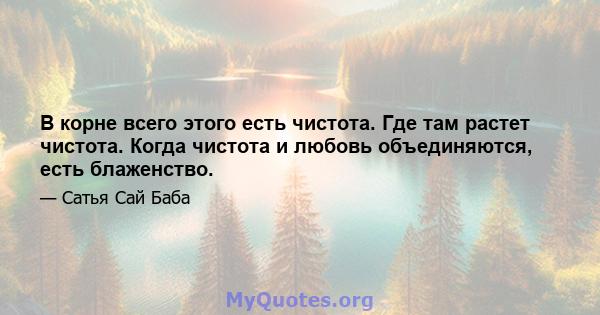 В корне всего этого есть чистота. Где там растет чистота. Когда чистота и любовь объединяются, есть блаженство.