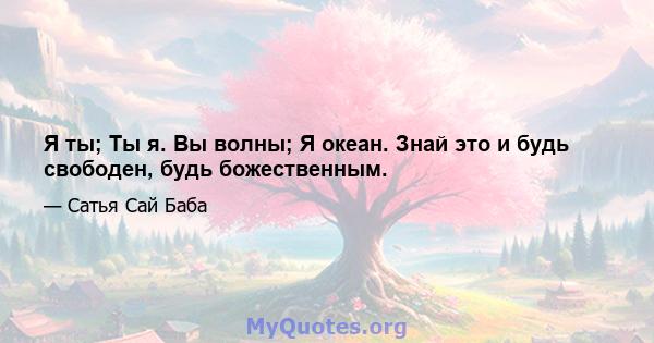 Я ты; Ты я. Вы волны; Я океан. Знай это и будь свободен, будь божественным.