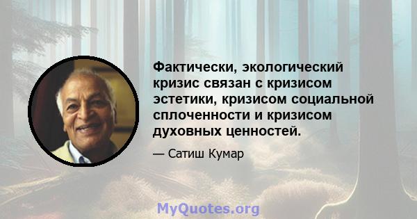 Фактически, экологический кризис связан с кризисом эстетики, кризисом социальной сплоченности и кризисом духовных ценностей.