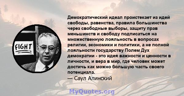 Демократический идеал проистекает из идей свободы, равенства, правила большинства через свободные выборы, защиту прав меньшинств и свободу подписаться на множественную лояльность в вопросах религии, экономики и