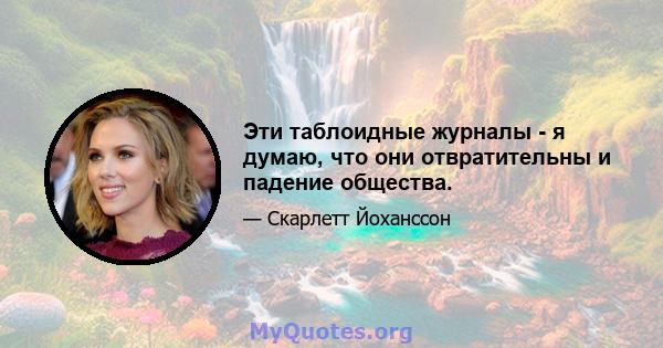 Эти таблоидные журналы - я думаю, что они отвратительны и падение общества.