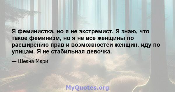 Я феминистка, но я не экстремист. Я знаю, что такое феминизм, но я не все женщины по расширению прав и возможностей женщин, иду по улицам. Я не стабильная девочка.