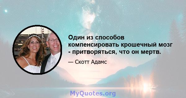 Один из способов компенсировать крошечный мозг - притворяться, что он мертв.