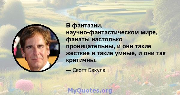 В фантазии, научно-фантастическом мире, фанаты настолько проницательны, и они такие жесткие и такие умные, и они так критичны.