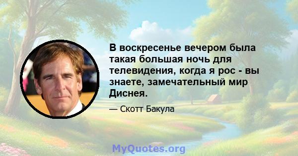 В воскресенье вечером была такая большая ночь для телевидения, когда я рос - вы знаете, замечательный мир Диснея.