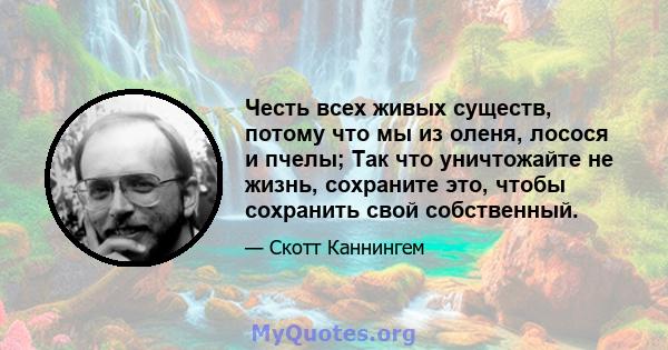 Честь всех живых существ, потому что мы из оленя, лосося и пчелы; Так что уничтожайте не жизнь, сохраните это, чтобы сохранить свой собственный.