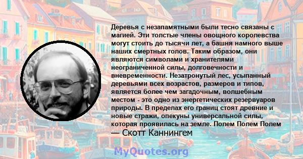 Деревья с незапамятными были тесно связаны с магией. Эти толстые члены овощного королевства могут стоить до тысячи лет, а башня намного выше наших смертных голов. Таким образом, они являются символами и хранителями