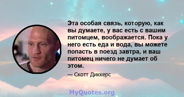 Эта особая связь, которую, как вы думаете, у вас есть с вашим питомцем, воображается. Пока у него есть еда и вода, вы можете попасть в поезд завтра, и ваш питомец ничего не думает об этом.