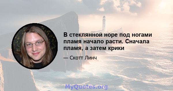 В стеклянной норе под ногами пламя начало расти. Сначала пламя, а затем крики