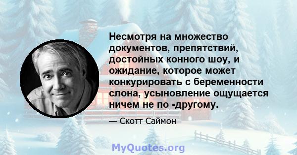 Несмотря на множество документов, препятствий, достойных конного шоу, и ожидание, которое может конкурировать с беременности слона, усыновление ощущается ничем не по -другому.