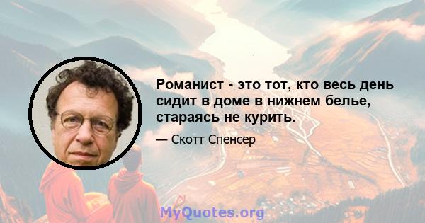 Романист - это тот, кто весь день сидит в доме в нижнем белье, стараясь не курить.