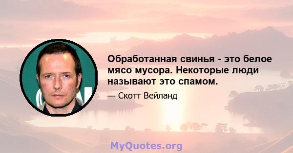 Обработанная свинья - это белое мясо мусора. Некоторые люди называют это спамом.