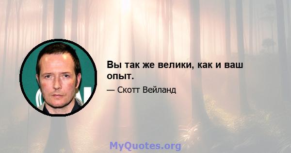 Вы так же велики, как и ваш опыт.