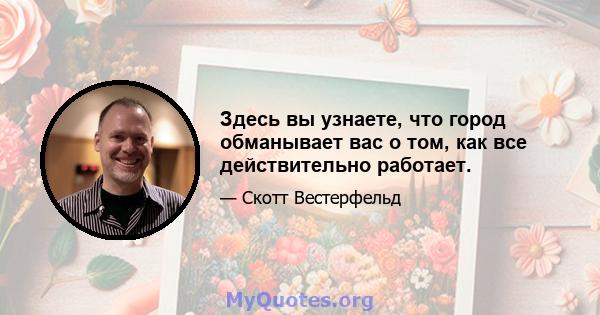 Здесь вы узнаете, что город обманывает вас о том, как все действительно работает.