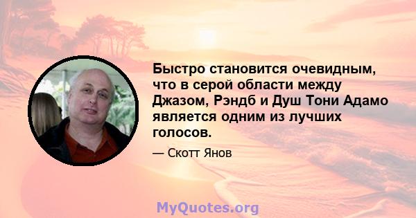 Быстро становится очевидным, что в серой области между Джазом, Рэндб и Душ Тони Адамо является одним из лучших голосов.