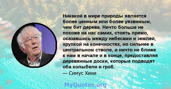 Никакой в ​​мире природы является более ценным или более уязвимым, чем бит дерева. Ничто больше не похоже на нас самих, стоять прямо, оказавшись между небесами и землей, хрупкой на конечностях, но сильнее в центральном